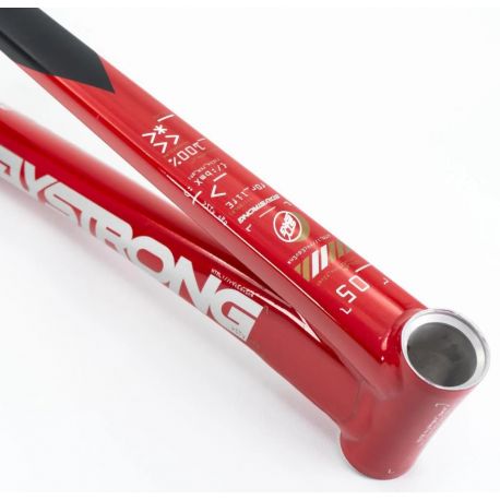 Cadre Stay Strong For Life V5 2025 - Red / Black