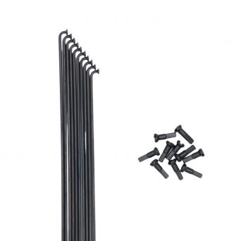 Rayons Pride Hexagon Stainless (X10) 2