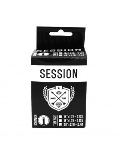 Innertube Session - 20'' - Schrader