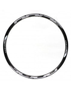 Jante Pride Control AR Disc 24" (507) - 36H 2