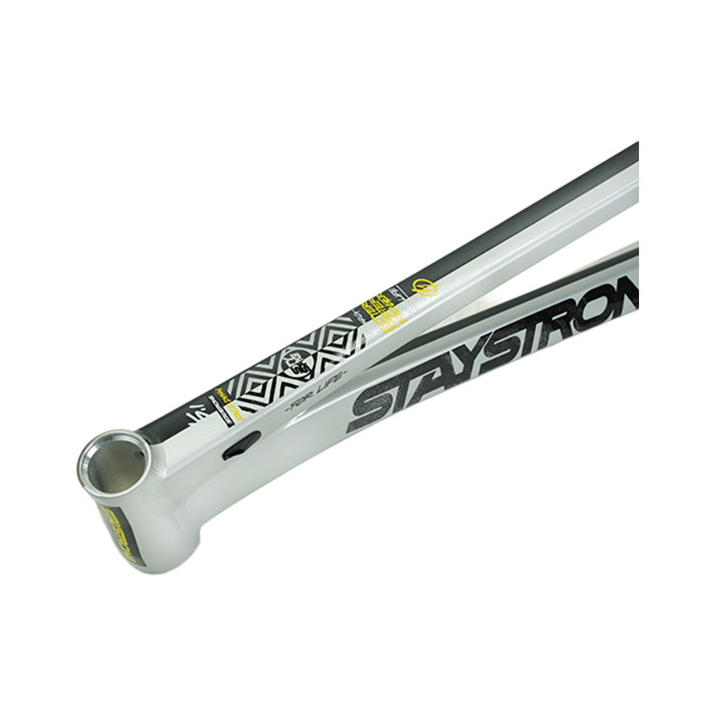 Stay Strong For Life V5.1 2026 Frame - Charcoal/Silver