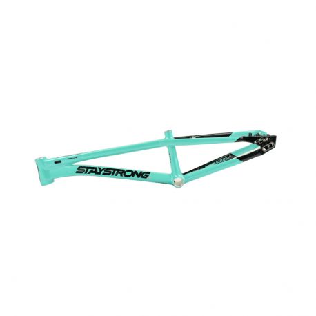 Stay Strong For Life V5.1 2026 Frame - Tiffany/Black