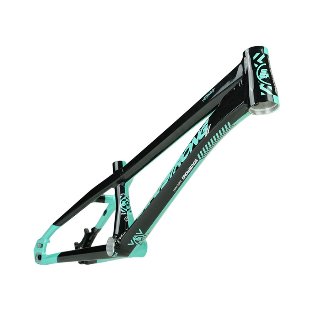 Stay Strong For Life V5.1 2026 Frame - Tiffany/Black