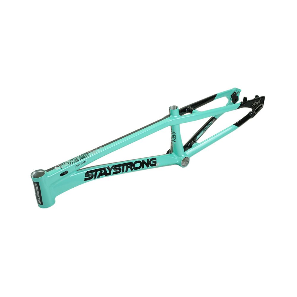Stay Strong For Life V5.1 2026 Frame - Tiffany/Black