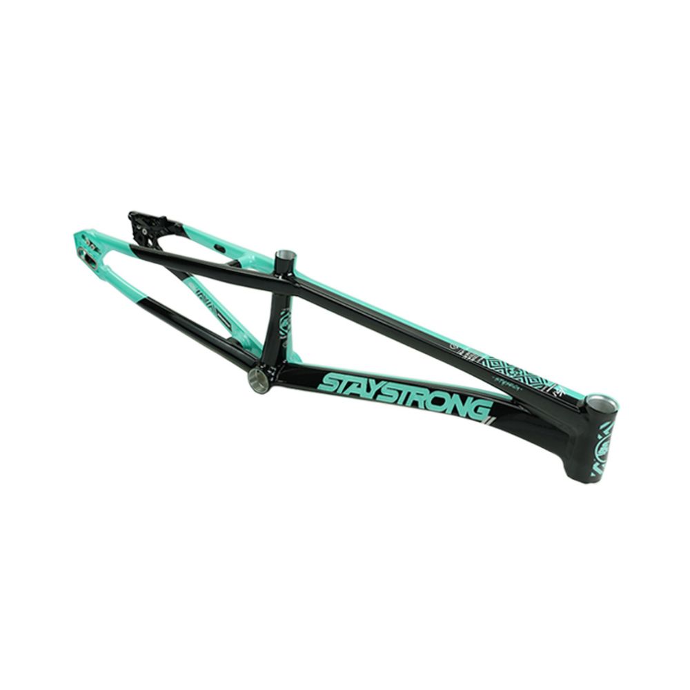 Stay Strong For Life V5.1 2026 Frame - Tiffany/Black