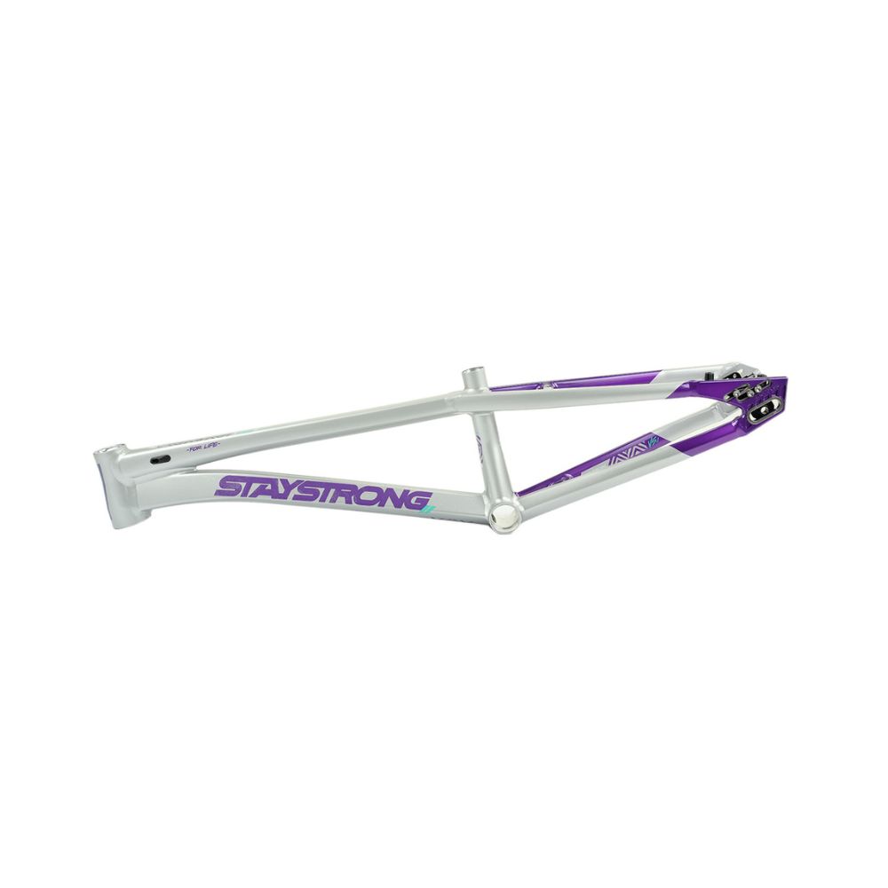 Stay Strong For Life V5.1 2026 Frame - Purple/Silver