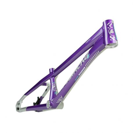 Stay Strong For Life V5.1 2026 Frame - Purple/Silver