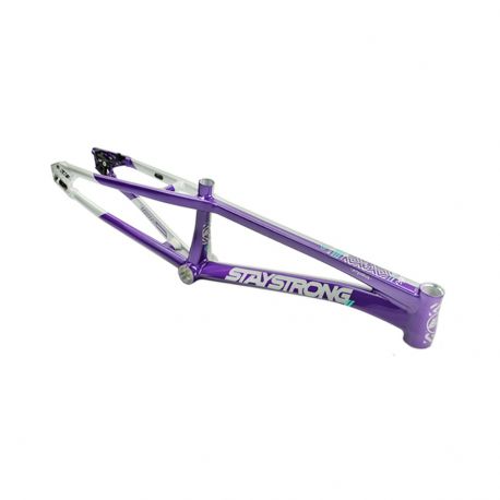 Stay Strong For Life V5.1 2026 Frame - Purple/Silver