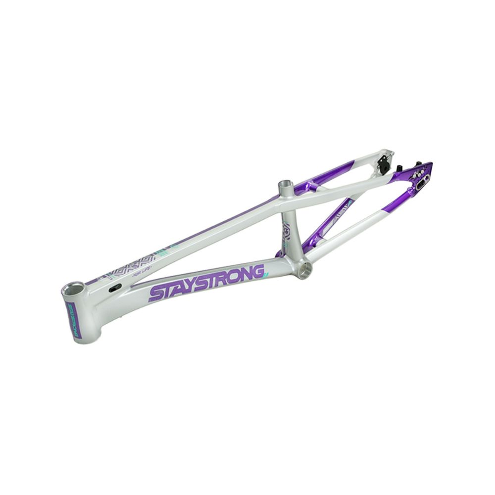 Stay Strong For Life V5.1 2026 Frame - Purple/Silver