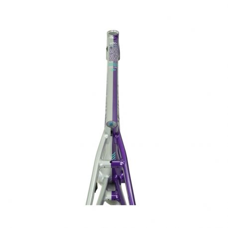 Stay Strong For Life V5.1 2026 Frame - Purple/Silver