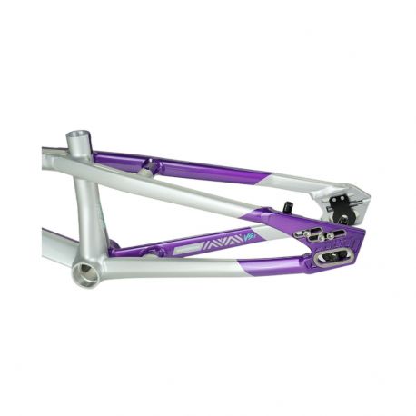 Stay Strong For Life V5.1 2026 Frame - Purple/Silver