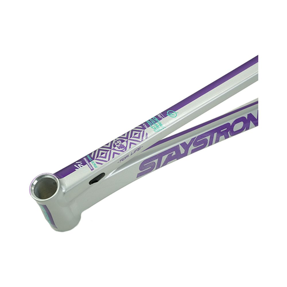 Cadre Stay Strong For Life V5.1 2026 - Purple/Silver