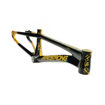 Stay Strong For Life V5.1 2026 Frame - Gold/Black 2