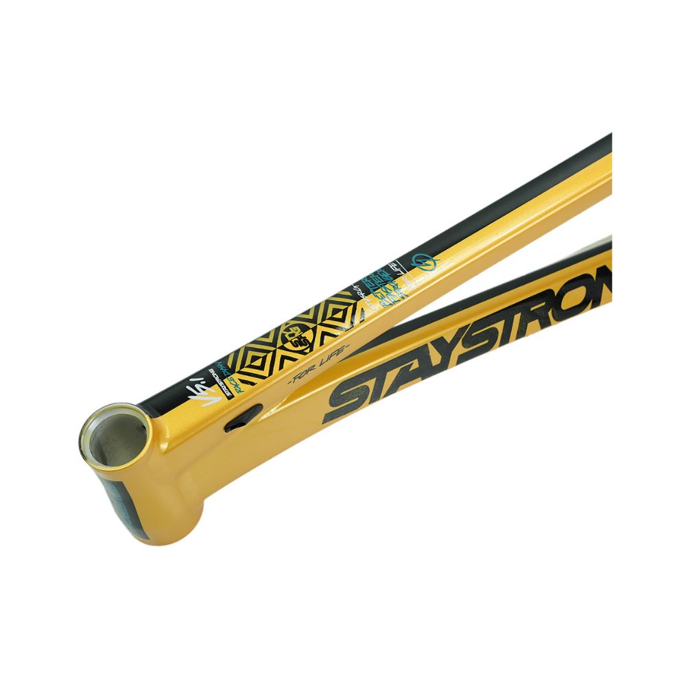 Stay Strong For Life V5.1 2026 Frame - Gold/Black
