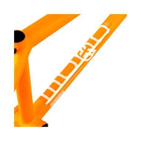 Federal Code Frame - Matt Orange