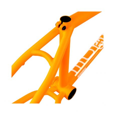 Federal Code Frame - Matt Orange