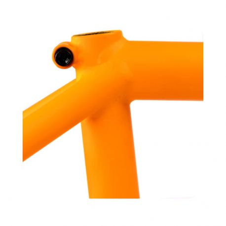 Federal Code Frame - Matt Orange