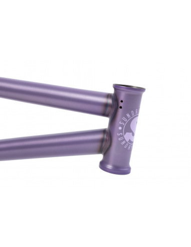 Sunday Park Ranger Frame Matte Frost Purple