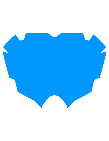 Fond De Plaque Pride Air