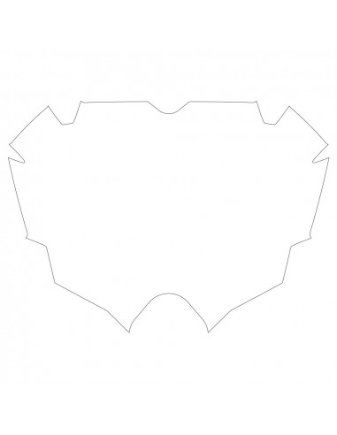 Fond De Plaque Pride Air