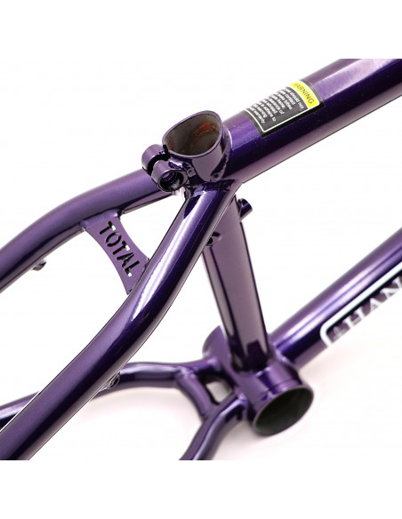 Cadre Total Hangover H4 Blackberry