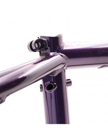 Total Hangover H4 Blackberry Frame