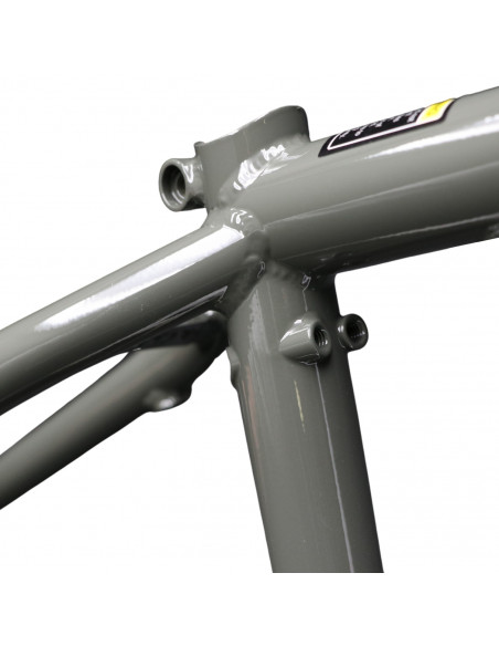 Total Hangover H4 White Fade Frame