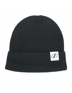 Inspyre Icon logo Beanie