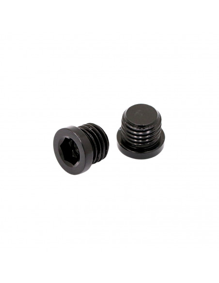 V-Brakes Caps Pride Racing