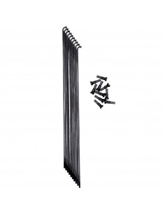 Pride Hexagon Spokes Double Butted (X10)