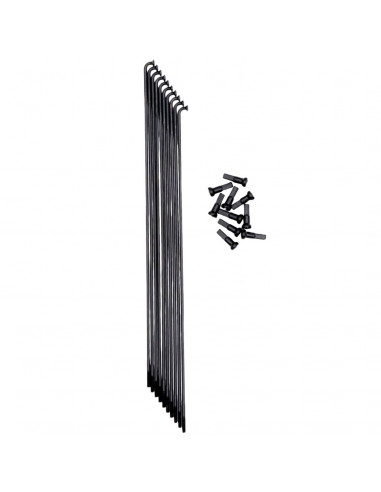 Rayons Pride Hexagon Double Butted (X10)