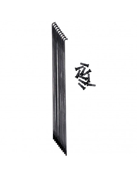 Rayons Pride Hexagon Double Butted (X10)