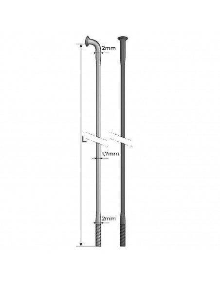 Rayons Pride Hexagon Double Butted (X10)