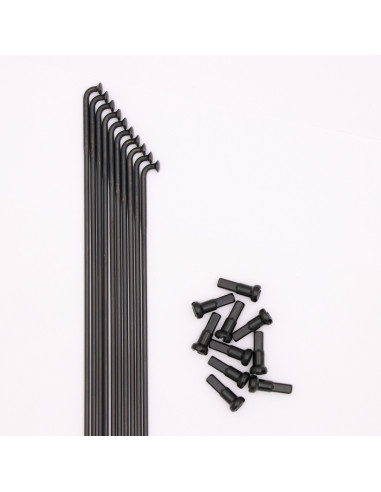 Rayons Pride Hexagon Double Butted (X10)