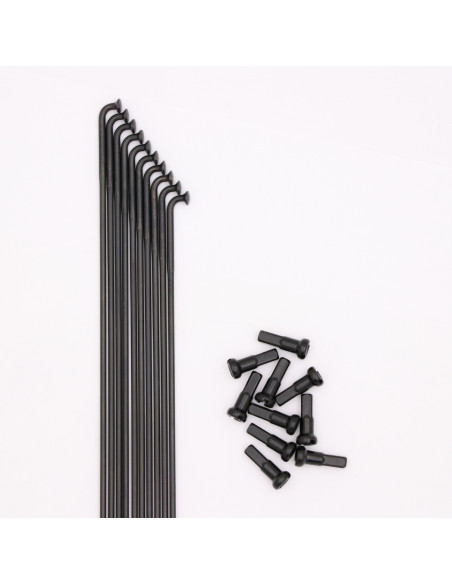 Rayons Pride Hexagon Double Butted (X10)