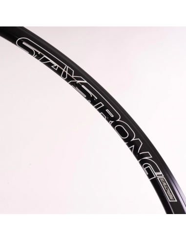 Rim 20" (451) - Stay Strong Reactiv 2 Disc - 28H