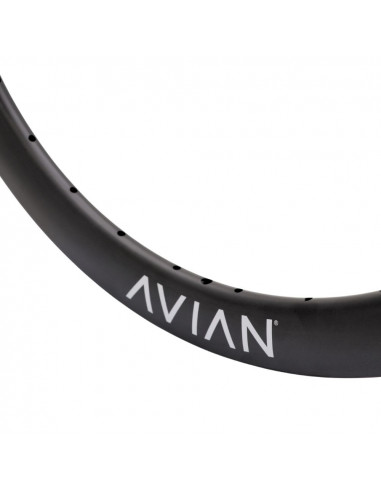 Jante 20" (451) Avian Venatic Carbon Disque - 28H