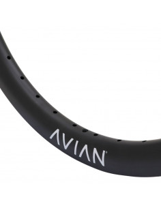 Rim 24" (507) - Avian Venatic Carbon 36H - Matt Black 2