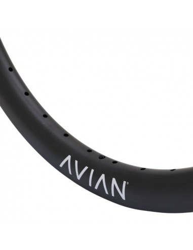 Jante 24" (507) Avian Venatic Carbon Disque - 36H
