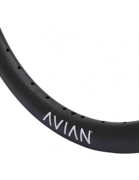 Jante 24" (507) Avian Venatic Carbon Disque - 36H