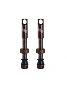 Valves Tubeless Title - Bronze