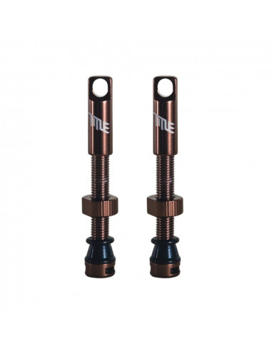 Valves Tubeless Title - Bronze
