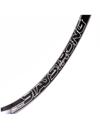 Rim 24" (507) - Stay Strong Reactiv 2 Disc - 36H