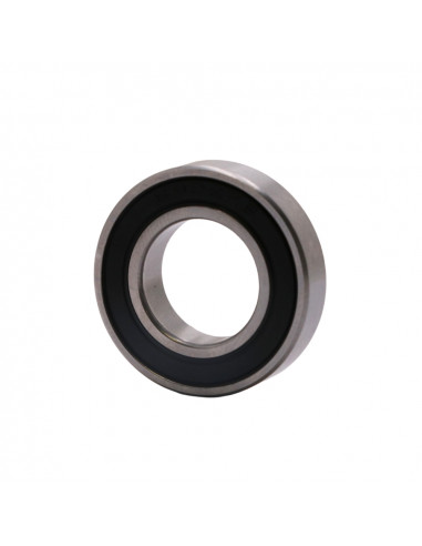 BlackBearing Bearing 6902-2RS