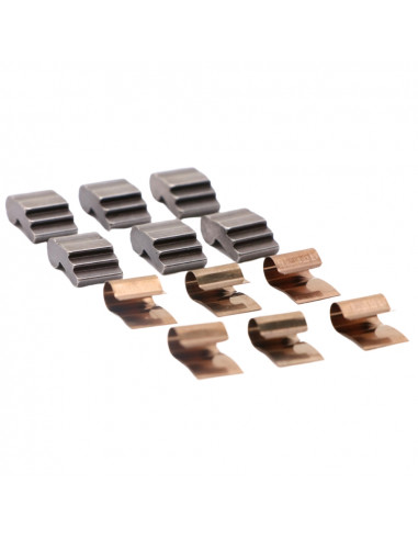 Pawls/Springs Set Pride Control V2