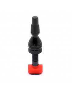 Valve Tubeless Forward - 40mm (Unité)