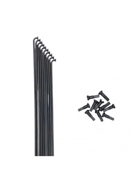 Rayons Mach 14g (Pack de 10)