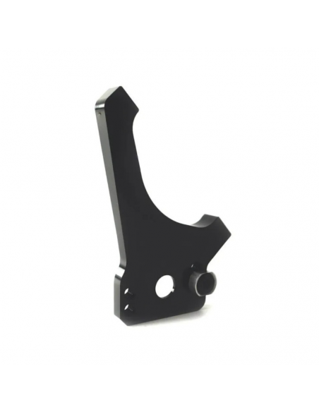 Generique 120mm Disc Mount - 10mm