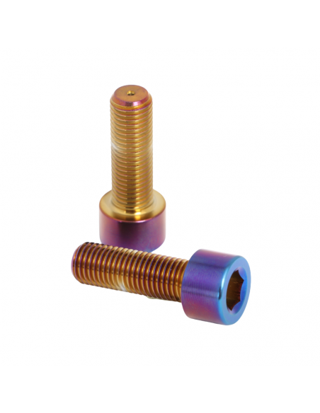 Pride Fusion Titanium Hub Bolts - 10x30mm