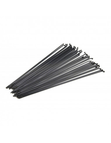 Mach1 Spokes Black (X 72)